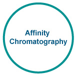 Affinity Chromatography